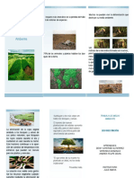 Folleto Deforestacion PDF