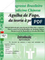 Agulha-de-Fogo.pdf
