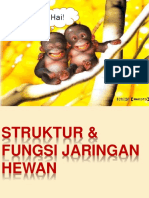Strukt & Fgs Jar HWN 2019-1