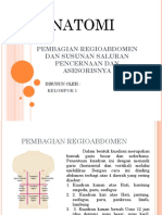 Pembagian Regioabdomen Dan Susunan Saluran Pencernaan Dan Asesorisnya