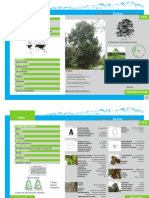 Roble PDF