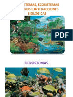 Ecosistemas Finalizado