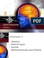 Ppt Sistem Persyarafan Kelompok 3