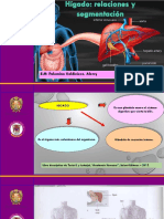 Anatomía Digestivo