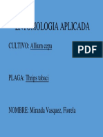 ENTOMOLOGIA APLICADA.docx