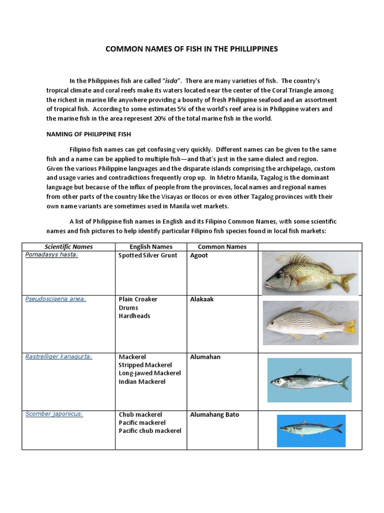 Common Names Of Fish In The Phillippines Pdf Philippines Seafood