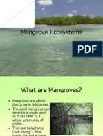 Mangrove Ecosystems1