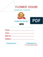 Chemistry Project Cover Page For Kakarmatta