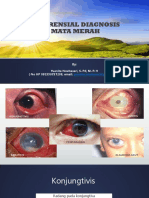 Diferensial Diagnosis Mata Merah