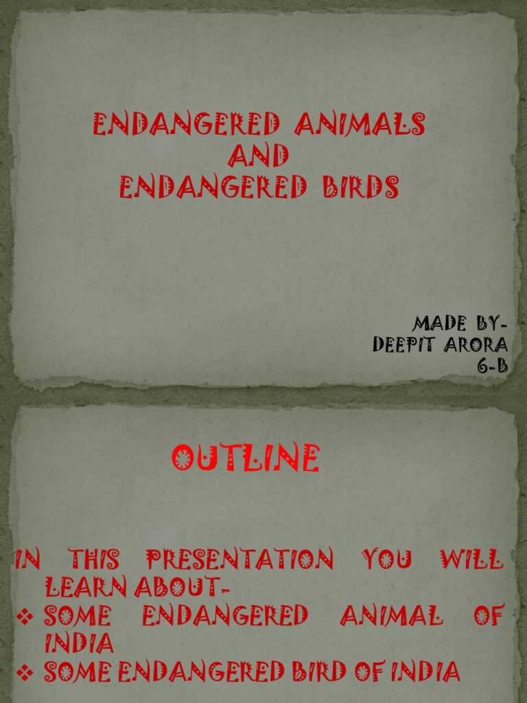 Endangered Wildlife of India | PDF | Rhinoceros | Fauna Of Asia