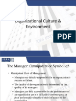Organizational Culture & Environment