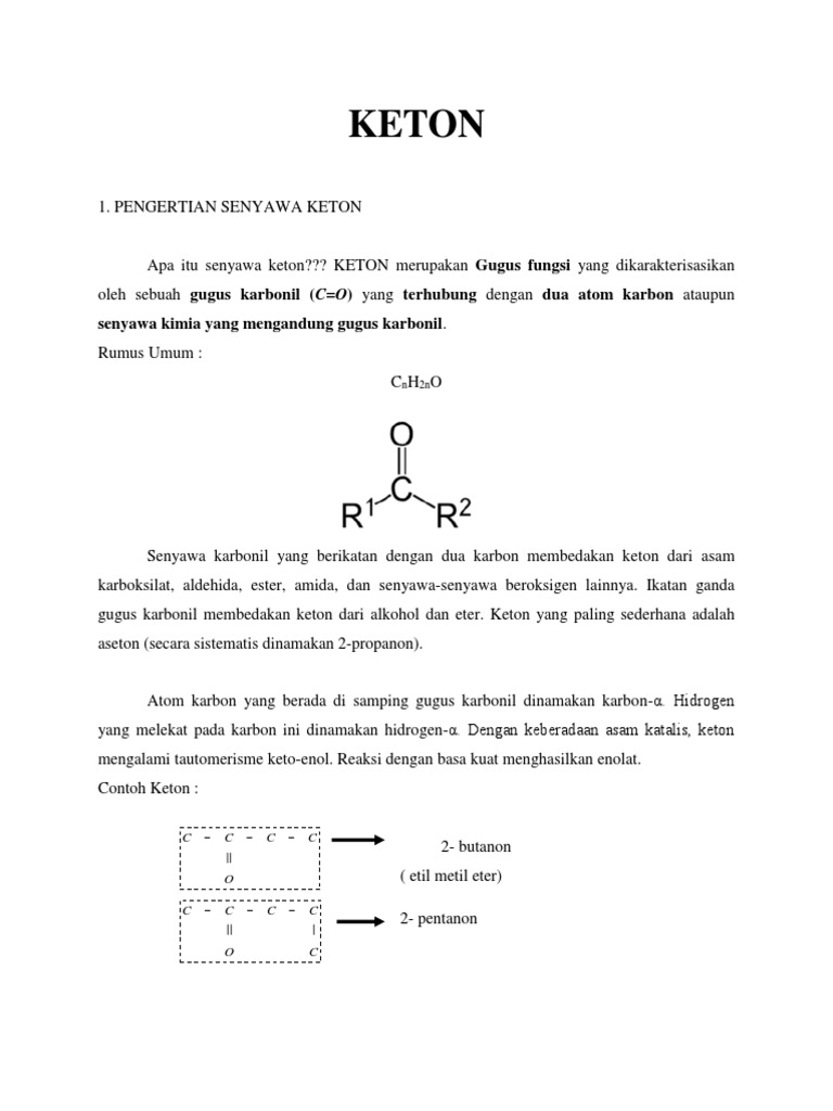 Makalah Keton Docx