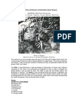 Some Facts and Sources of Information About Cassava CASSAVA (Manihot Esculenta) (Common Names: Tapioca, Yucca, Manioc, Manihot)