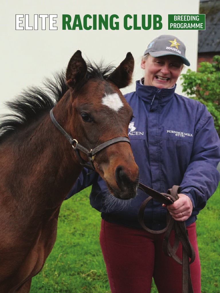 Elite Racing Club August 2019 Report Summary PDF Horse Breeding