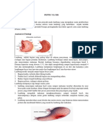 Peptic Ulcer