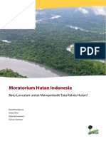 CIFOR_Moratorium.pdf