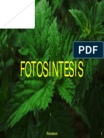 Kuliah 4  Fotosintesis (non).pdf