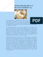 Responsabilidade PDF