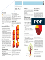 Fallas Electricas en Motores.pdf