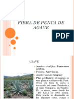 FIBRA DE MAGUEY.pptx
