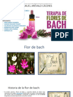 Aromaterapia Flores de Bach