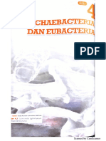 BAB 4 - Archaebacteria & Eubacteria