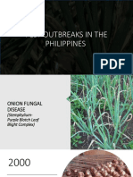 Pest Outbreaks in The Philippines