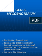 Mycobacterium ppt