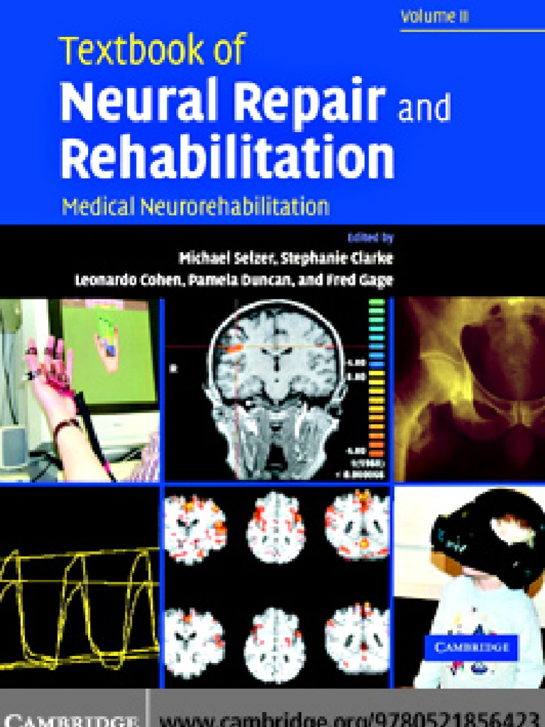 Textbook of Neural Repair and Rehabilitation | PDF | Physical Therapy ...