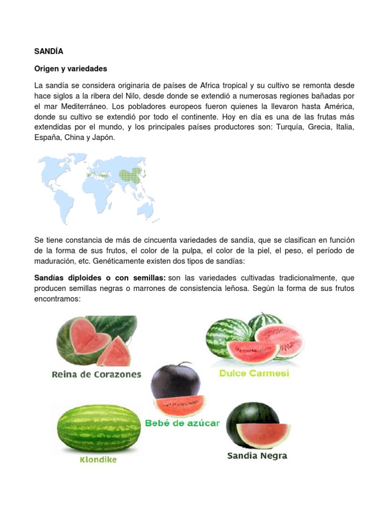 SANDÍA | PDF | Sandía | Agua, image size:768x1024
