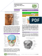 Maxillofacial Injuries