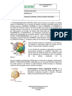 Guía de aprendizaje sobre el encéfalo y sus principales áreas y funciones