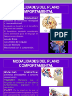 Modalidades Del Plano Comportamental