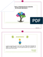 Memoria-Módulo Introductorio - Pautas para La Prevención de Agentes de Peligro Mecánico