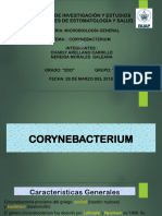 p02 Corynobacterium Virtual - PPTM