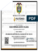 Hugo Hernan Acosta Villada: Diplomado en Auditoría de La Calidad-Iso 19011 de 2012