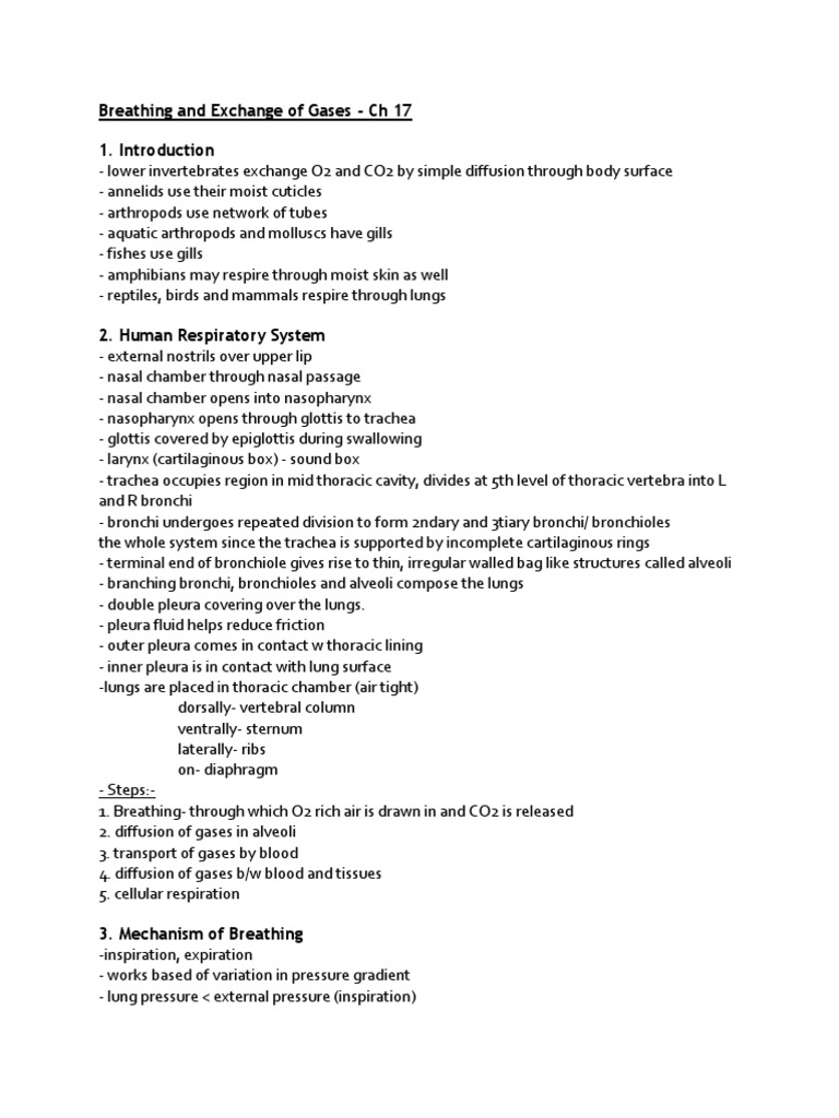Breathing and Exchange of Gases | PDF | Exhalation | Respiratory System
