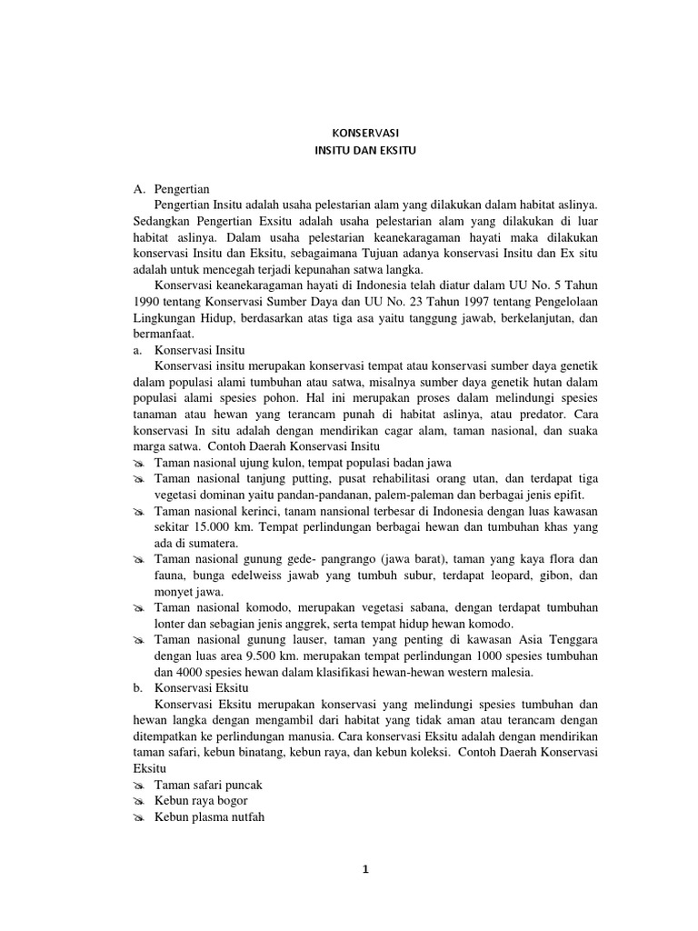 Eksitu Pdf
