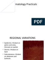 1st Practical Derma