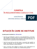 CURATELA SEMINAR.pdf