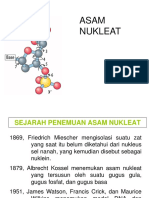 Asam-nukleat