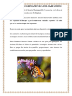 Que Significa La Mariposa Monarca en El Día de Muertos