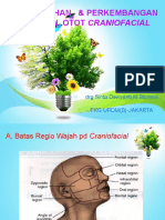 Tumbuh Kembang Otot Craniofacial PDF