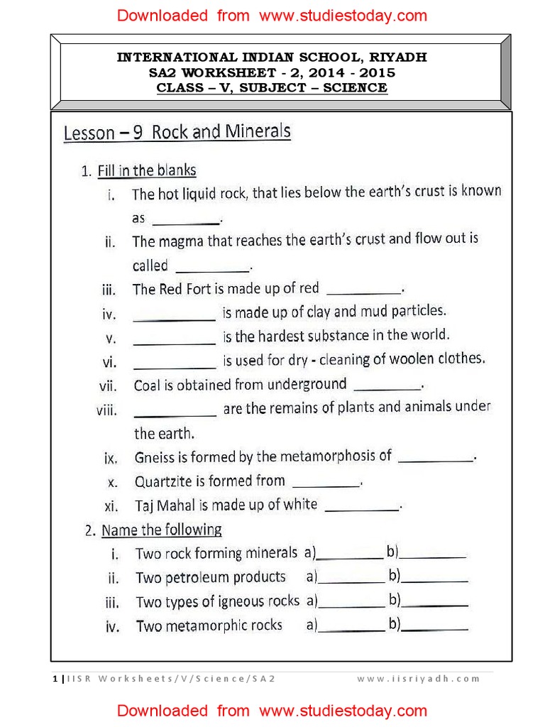 class 5 assignment science homework 9