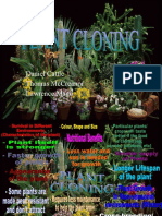 Plant Cloning Presentation