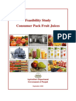 Feasibility Study-Consumer Pack Fruit Juices PDF