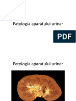 Tema Aparatul Urinar