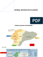 Población Regional Bovina en Ecuador