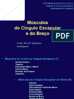 Slides - Teórica 10 - Músculos Cíngulo Escapular e Braço PDF