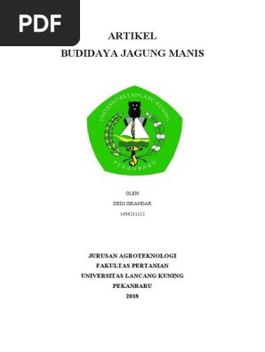 Artikel Budidaya Jagung Manis Jurusan Agroteknologi Fakultas Pertanian Universitas Lancang Kuning Pekanbaru 2018